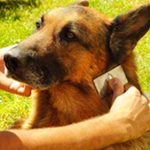 Protecting Hair Fall